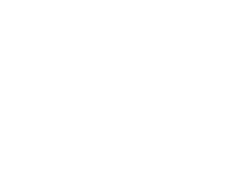 Fiwti Developers